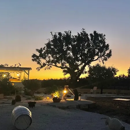 Nonno 폴리나노 아마레