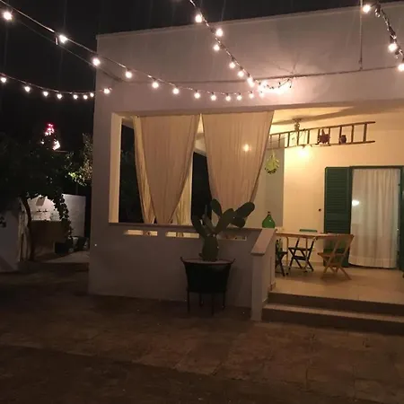 Nonno * 폴리나노 아마레