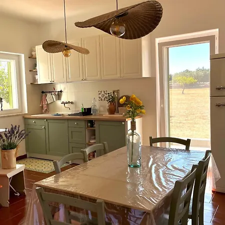 Nonno * 폴리나노 아마레